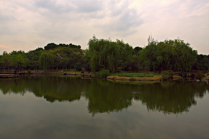 IMG_2002.CR2_conew1.jpg