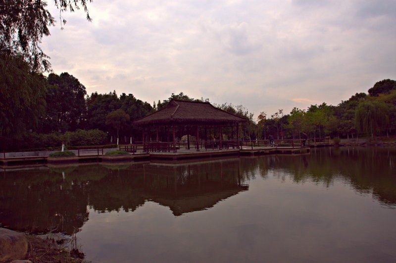 IMG_2003.CR2_conew1.jpg