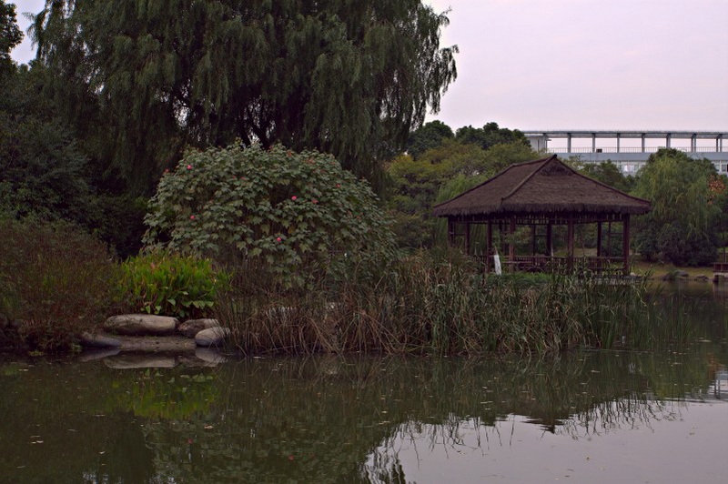 IMG_2009.CR2_conew1.jpg