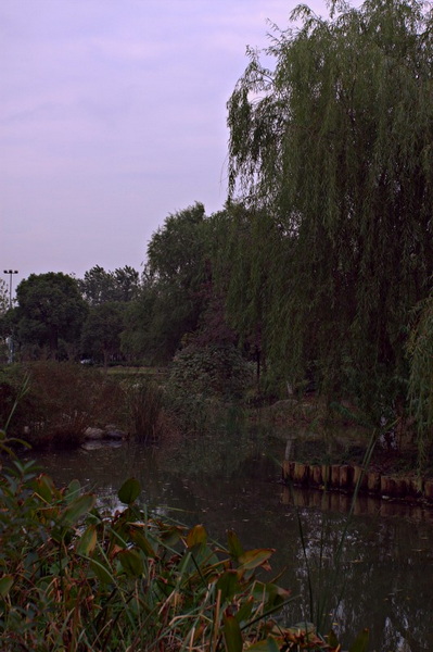 IMG_2011.CR2_conew1.jpg