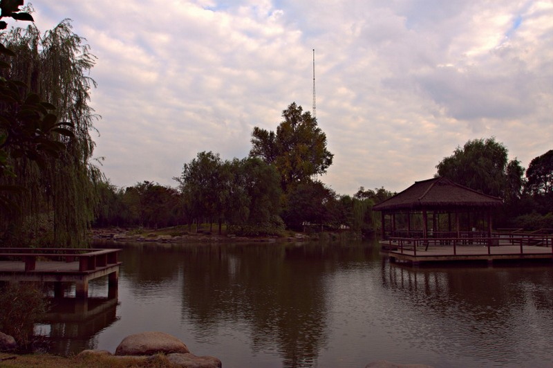 IMG_2014.CR2_conew1.jpg