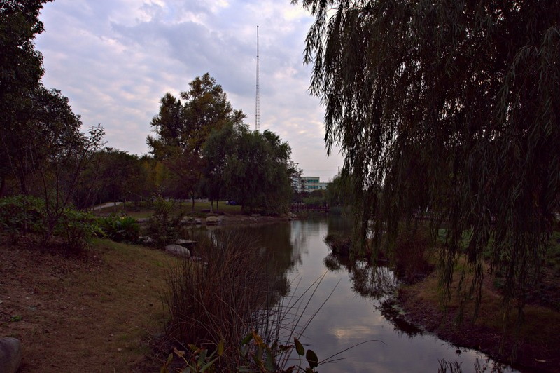 IMG_2016.CR2_conew1.jpg
