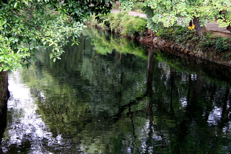 IMG_7065.JPG