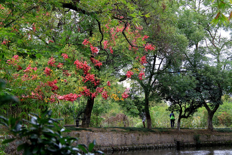IMG_7169.JPG