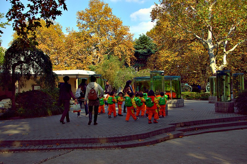 IMG_2268.CR2.jpg