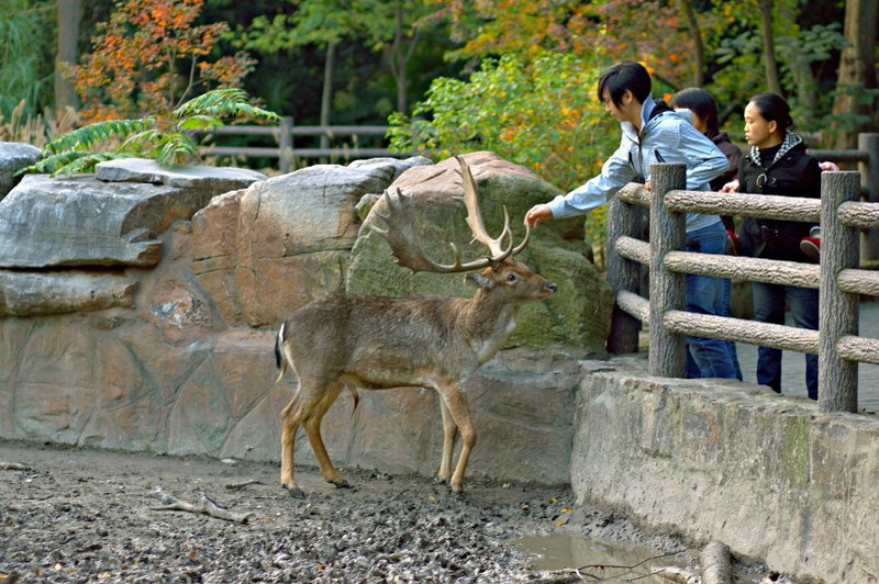 IMG_2654.CR2.jpg