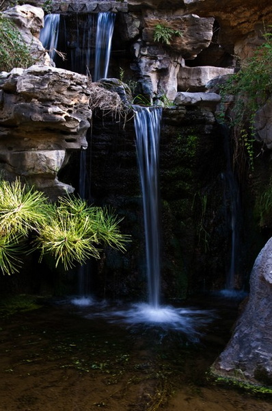 DSC_0834a.jpg