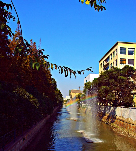 IMG_2741.CR2.jpg