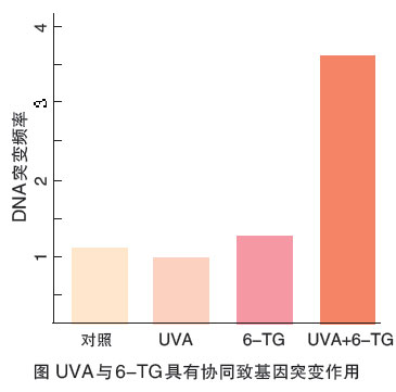 硫唑嘌呤为何与皮肤癌有瓜葛.jpg