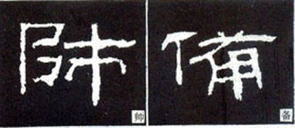2593510435413167838.jpg