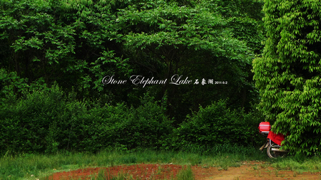 nEO_IMG_树丛中的红色摩托.jpg