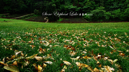 nEO_IMG_草地-6.jpg