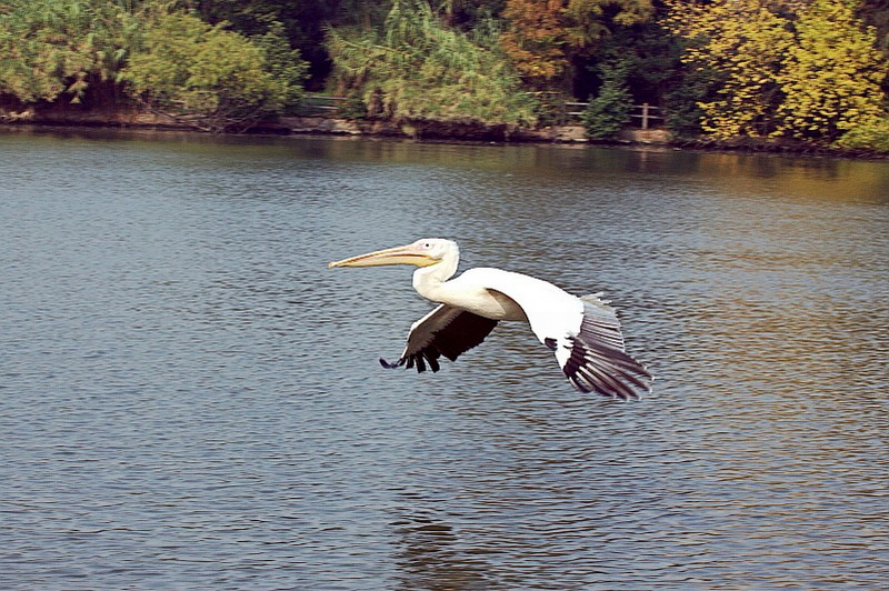 IMG_3733.jpg
