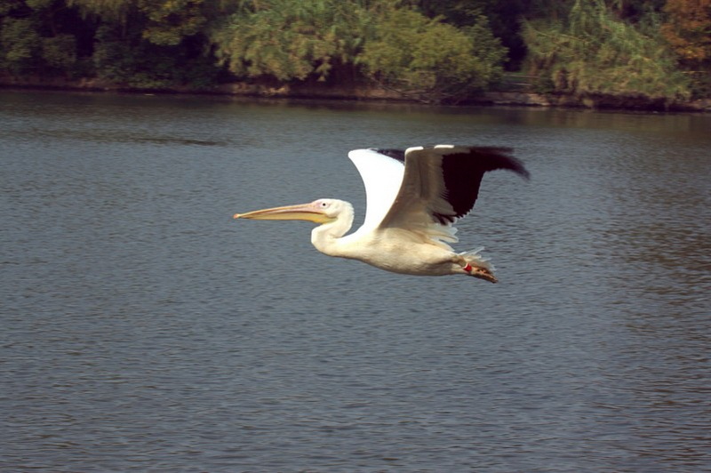 IMG_3734.jpg