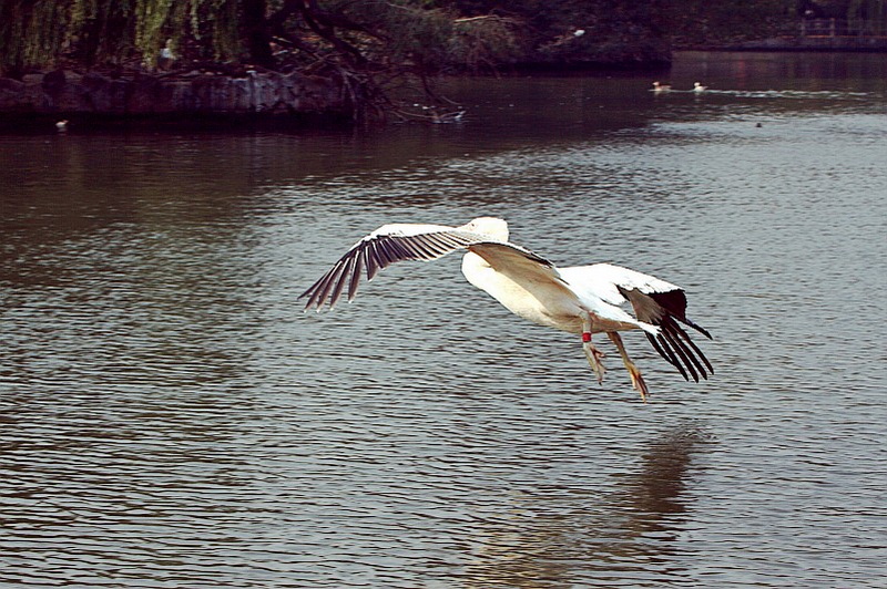 IMG_3737.jpg
