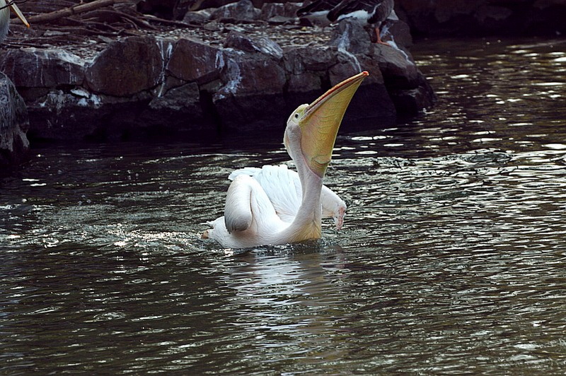 IMG_3790.jpg