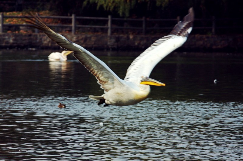 IMG_3828.jpg