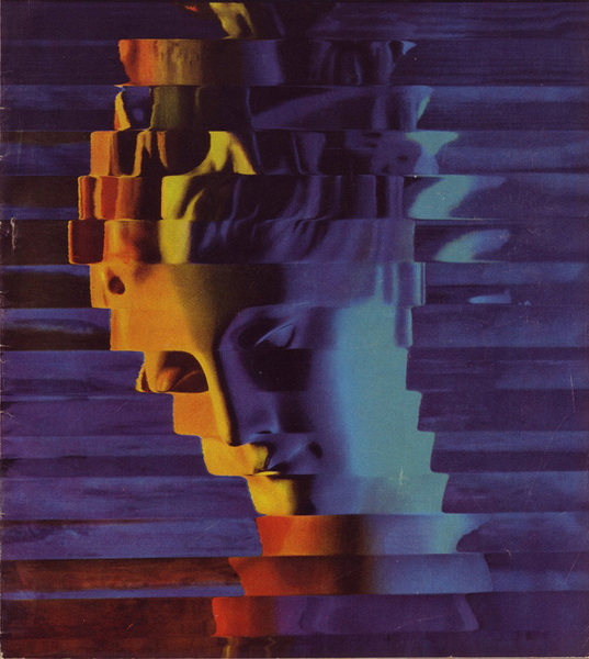 2154409471745043989.jpg