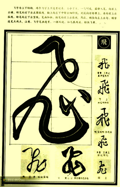 2618280233379524285.jpg