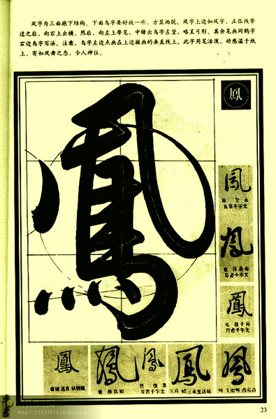3090595244300011063.jpg