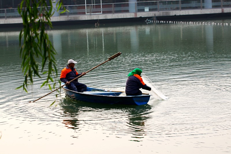 IMG_4969.jpg