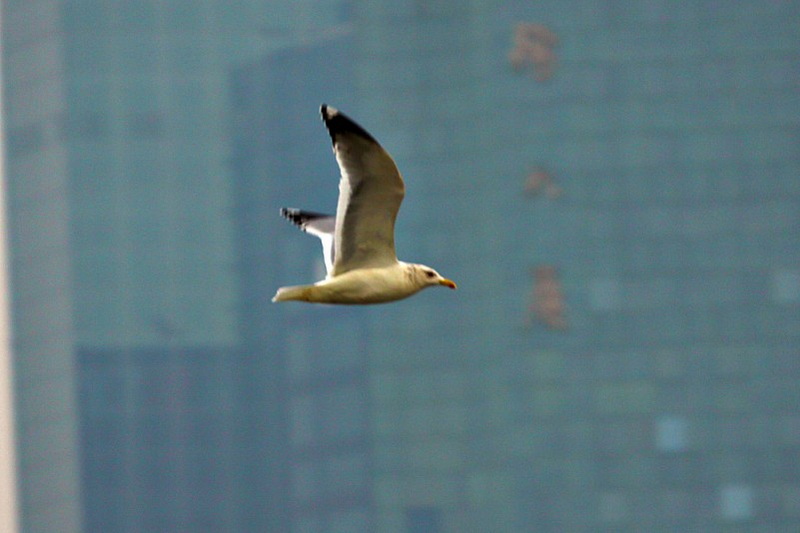 IMG_6849.JPG