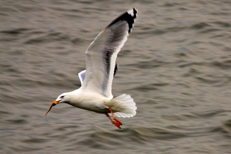 IMG_6870.JPG