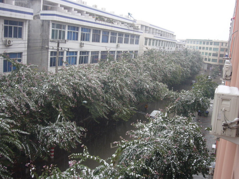 P1080657.jpg
