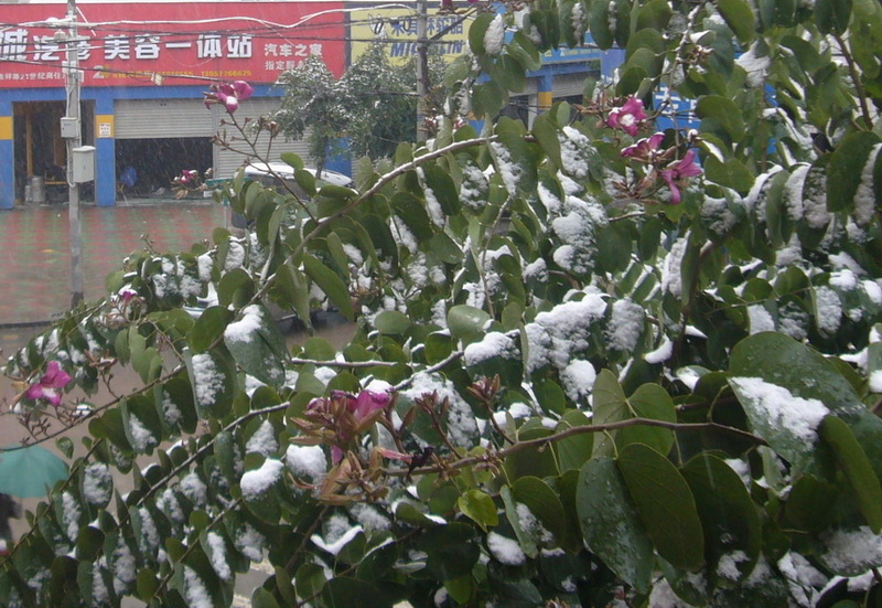 P1080653.jpg