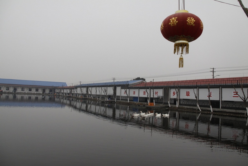 _MG_4123_光影_1.jpg