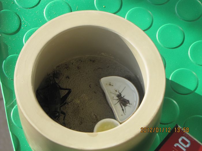 饮水罐、小米罐.JPG