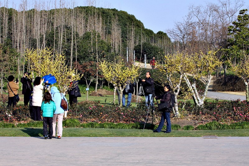IMG_7884.jpg