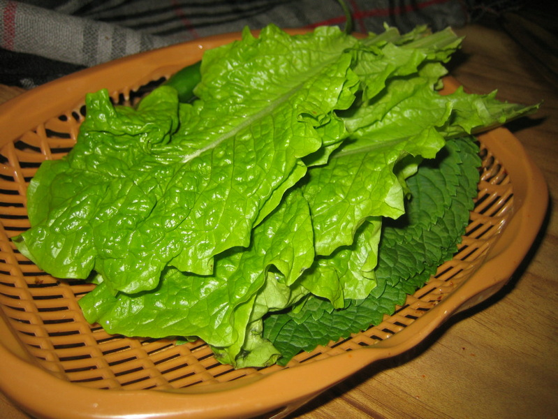 照片 349.jpg