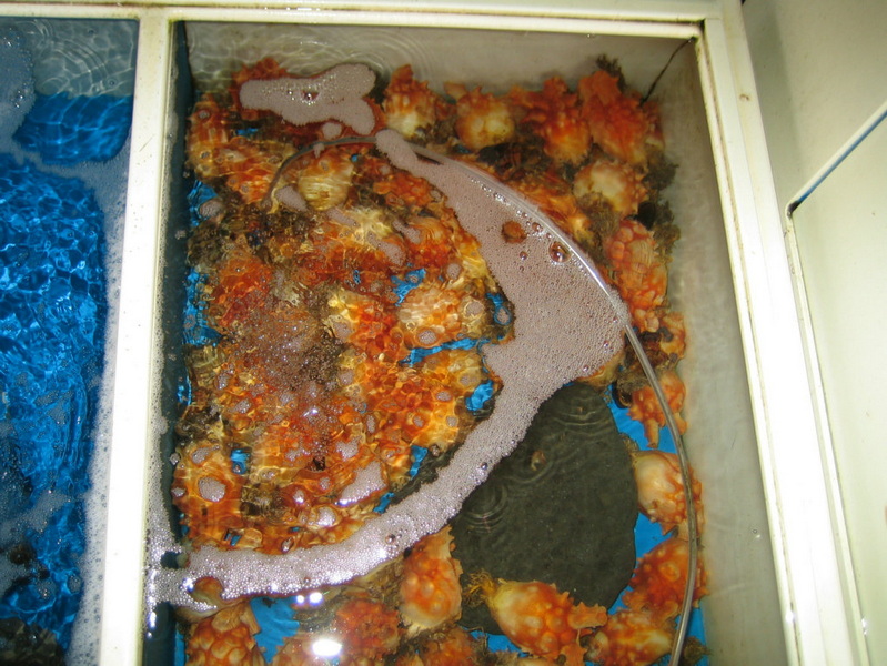 照片 325.jpg
