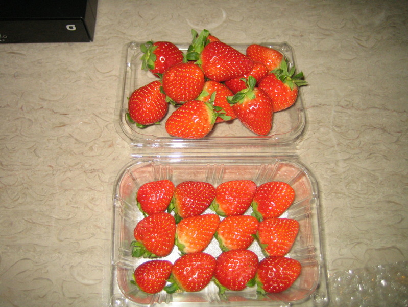 照片 380.jpg