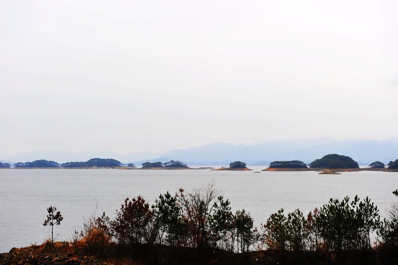 照片 165.jpg