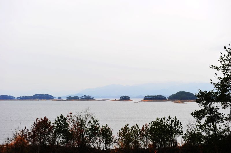 照片 166.jpg