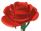 转花.gif