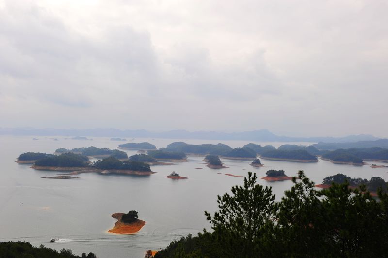照片 407.jpg