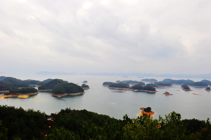 照片 443.jpg