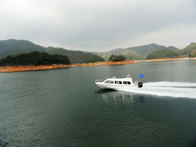 DSC08555.jpg