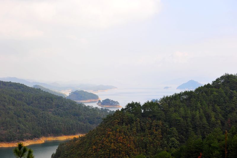 照片 394.jpg