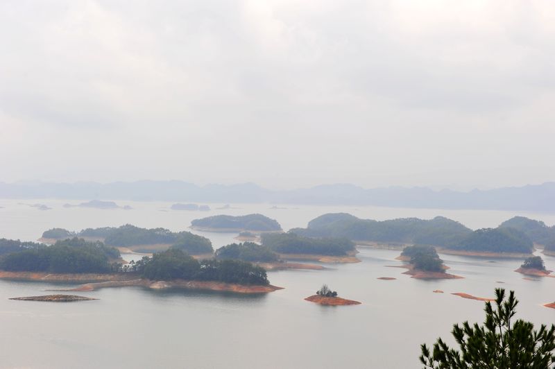 照片 417.jpg