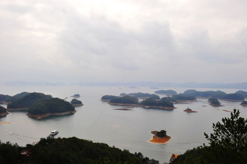 照片 409.jpg
