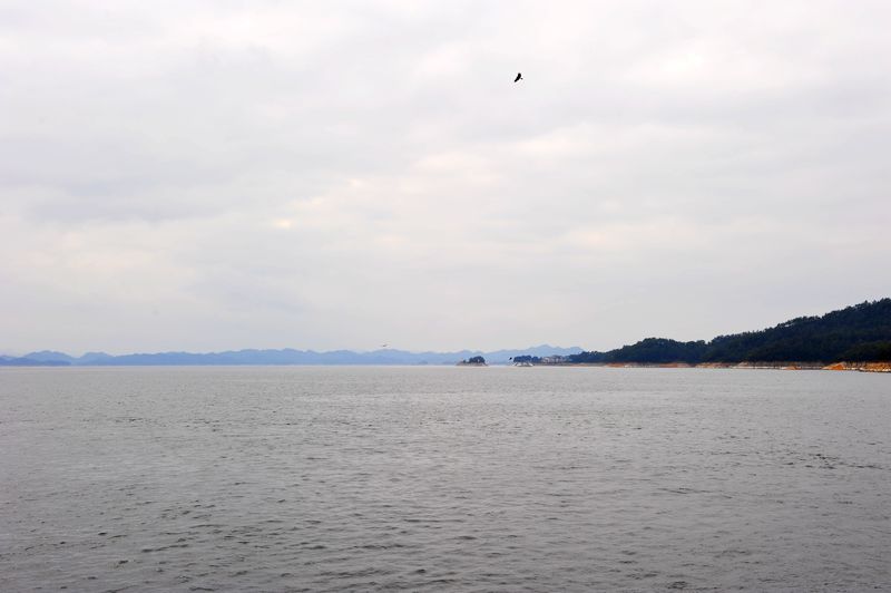 照片 483.jpg