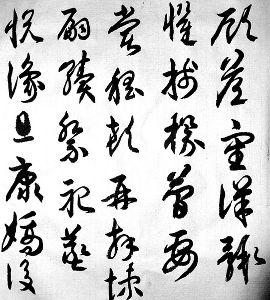照片 036.jpg
