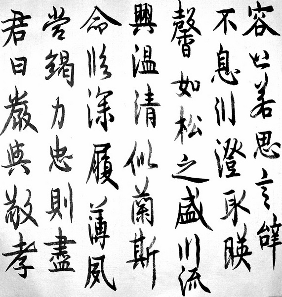 照片 017.jpg
