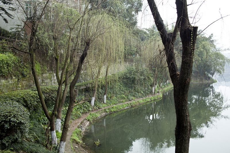 _MG_23800.jpg