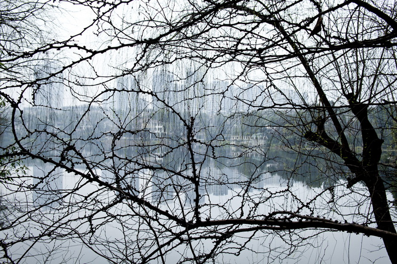 _MG_23843.jpg
