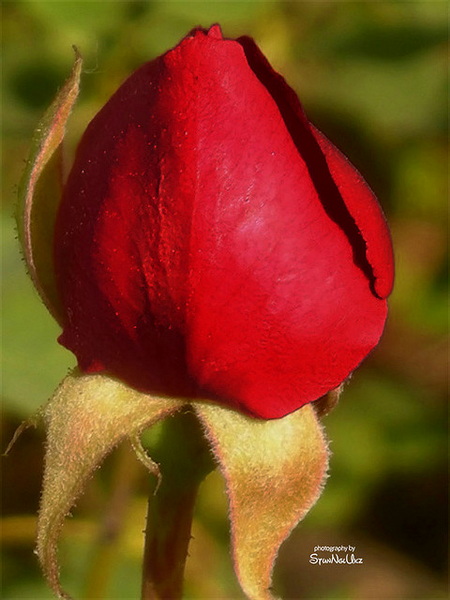 13216005016218.jpg